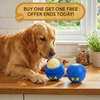 The Pawsicle™ Treat Ball (With Freezer Tray)