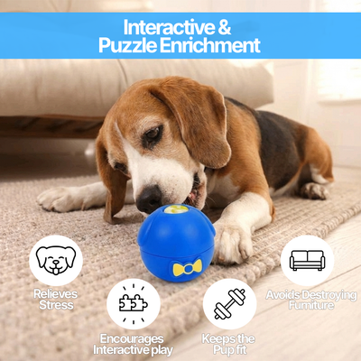 The Pawsicle™ Treat Ball (With Freezer Tray)